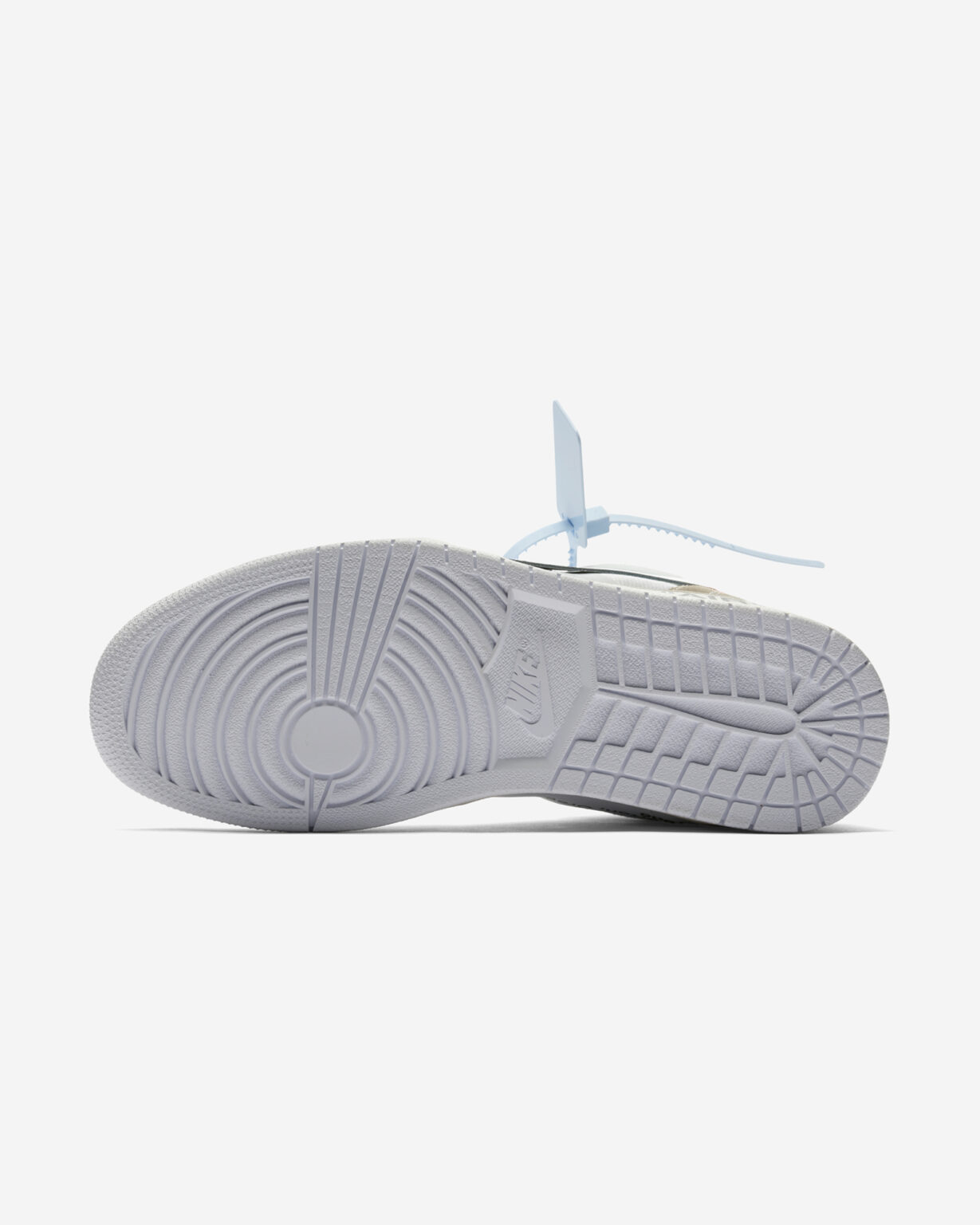Air Jordan 1 Alaska バックビュー