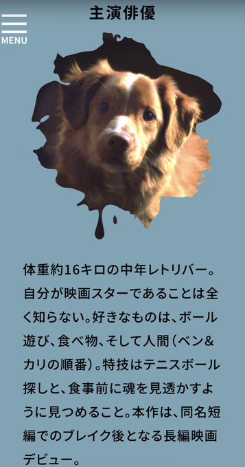 映画「GOOD BOY/グッド・ボーイ」犬視点ホラーの全情報|あらすじ・主演インディ・上映館まとめ