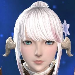 FF14 返礼品アイテムイメージ1