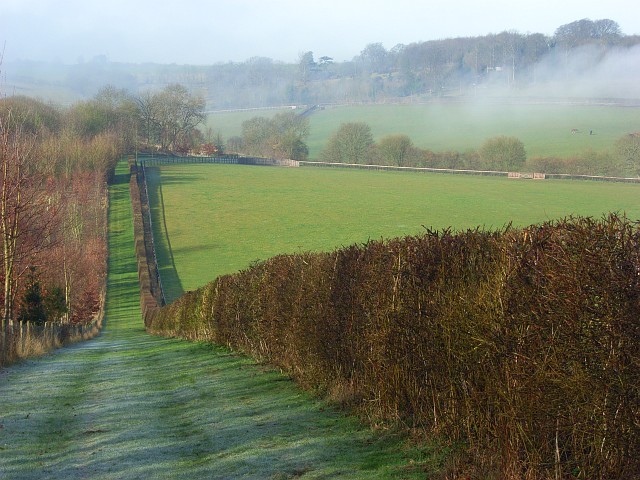Rolling English countryside, the kind of landscape that inspired Pokemon's Galar region