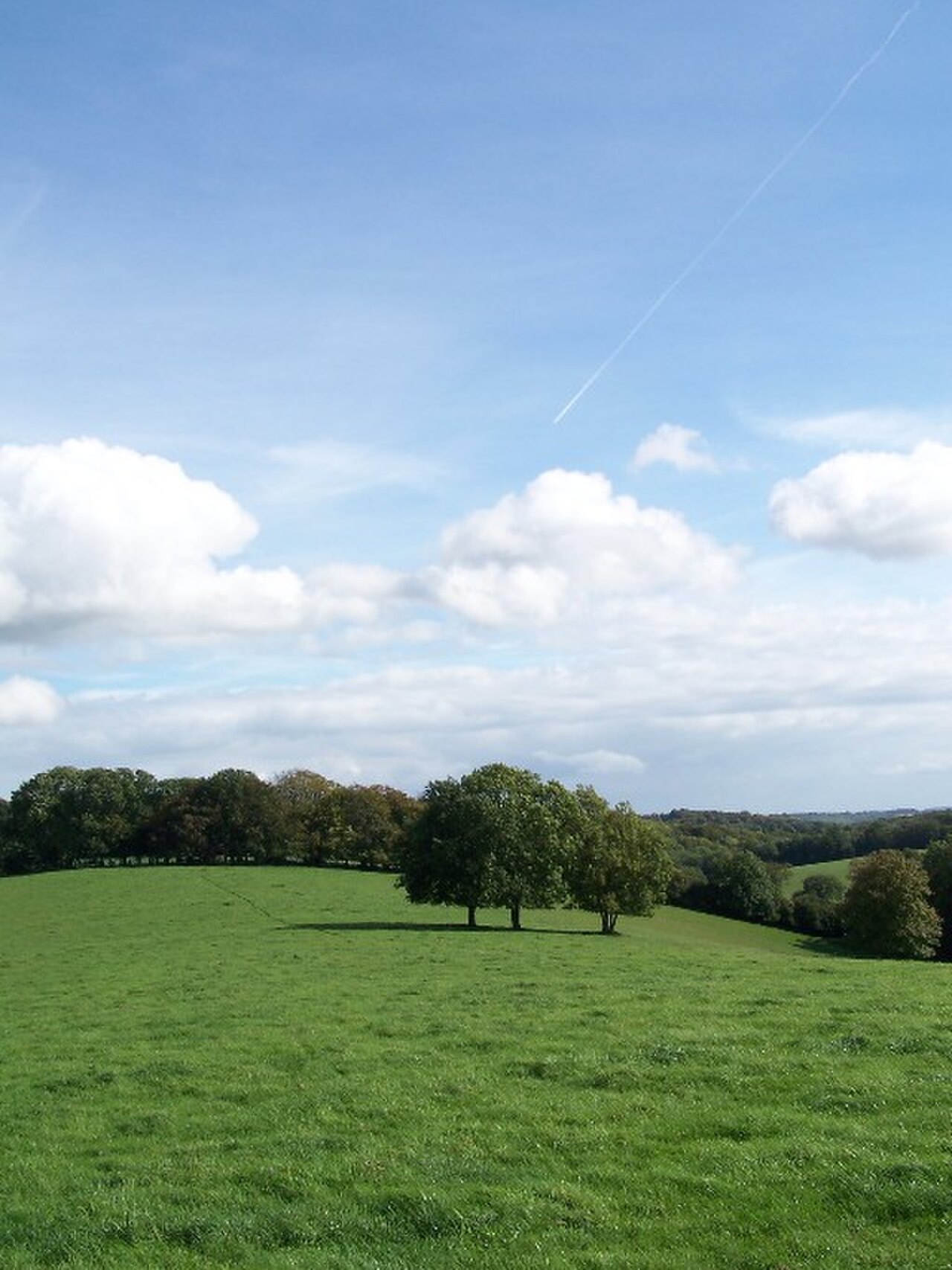 ガラル地方は現実のイギリスの田園風景がモチーフ。画像はイングランド・チルターン丘陵。出典：Wikimedia Commons / GameKeeper(CC BY-SA 3.0)
