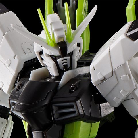 RG フリーダムガンダム APEX LEGENDS クリプト Ver. 全身