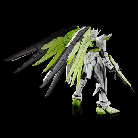 RG フリーダムガンダム クリプト Ver. マーキング詳細