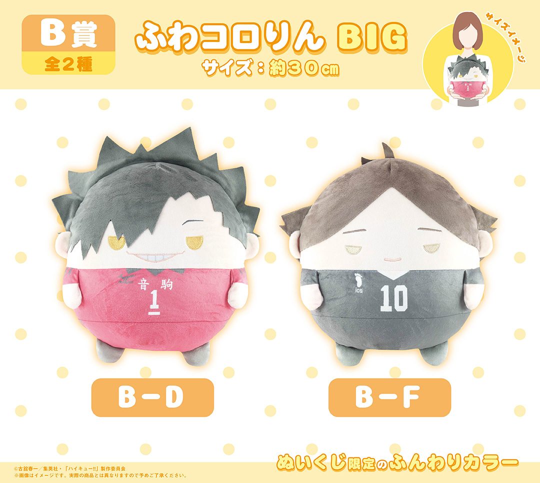 ハイキュー 日向翔陽くじメイト ぬいくじ2 A賞 ふわコロりん メガ