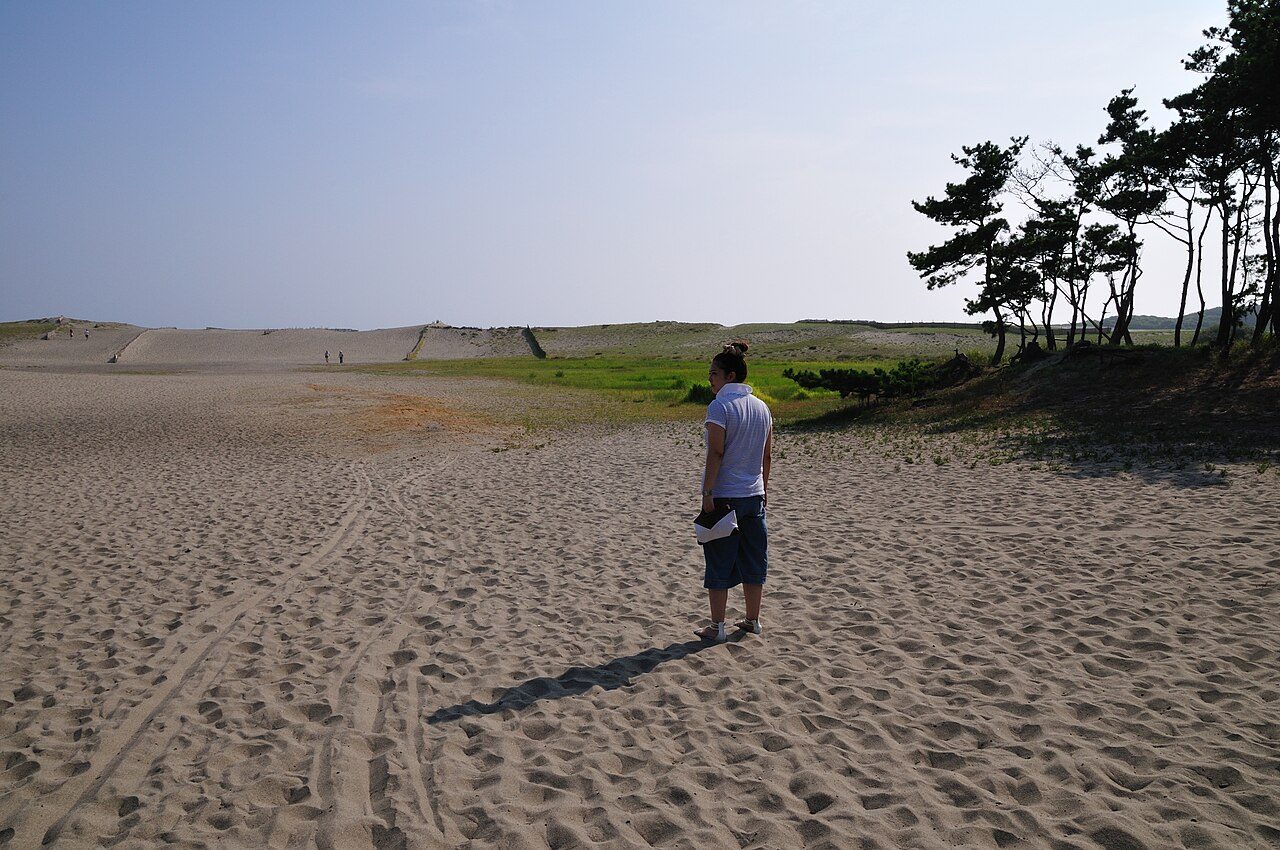 浜松市の観光地・中田島砂丘の風景