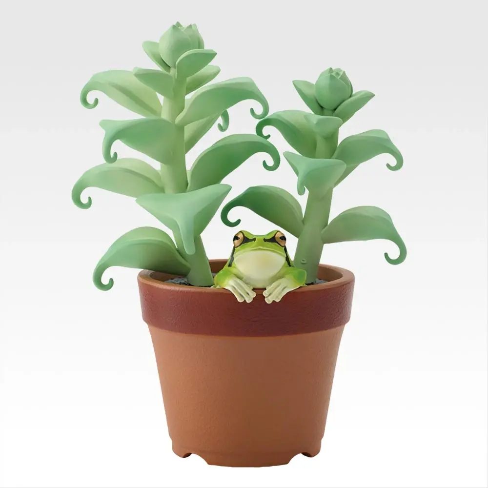 ニホンアマガエルと観葉植物アクセサリースタンド