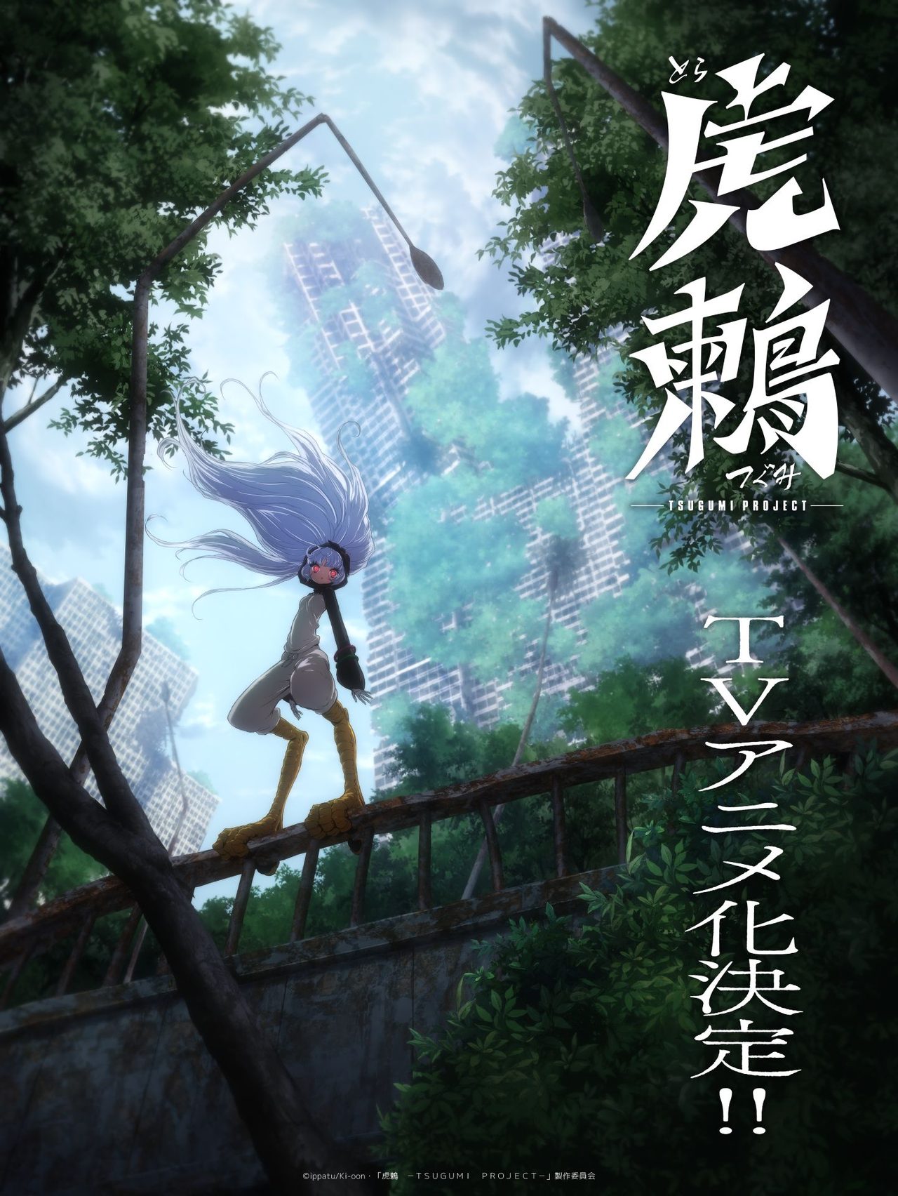 虎鶫（とらつぐみ）TVアニメ化決定｜ティザーPVとあらすじ解説