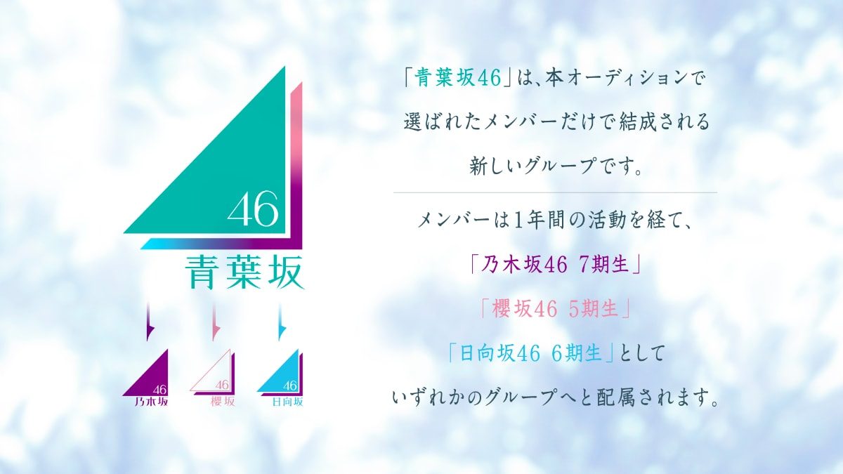 青葉坂46から乃木坂46・櫻坂46・日向坂46への配属の流れを示す公式図解