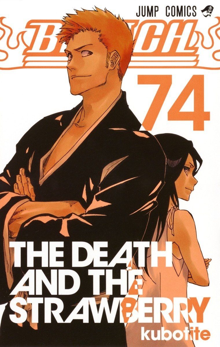 BLEACH最終巻74巻THE DEATH AND THE STRAWBERRYの表紙、成長した黒崎一護のイラスト