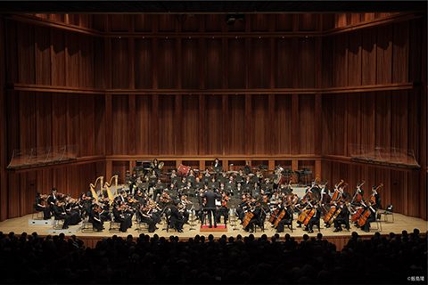 兵庫芸術文化センター管弦楽団の演奏風景