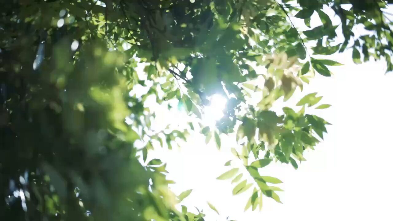 日向坂46 18thシングル『イチャイチャ虫』ティザー映像より