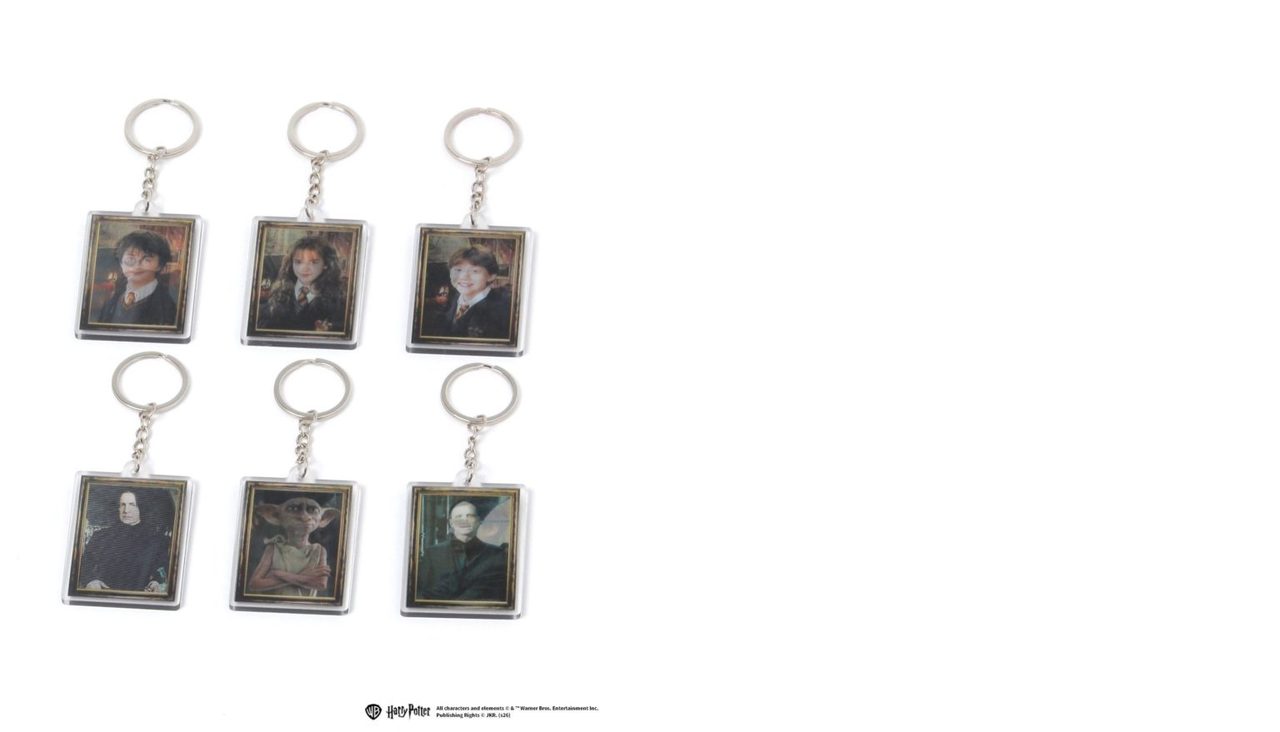 ハリー・ポッター&ファンタスティック・ビーストキャラクターのブラインドレンチキュラーキーホルダー(880円)
