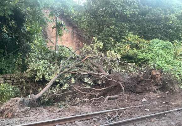 線路に流入した倒木・土砂の状況