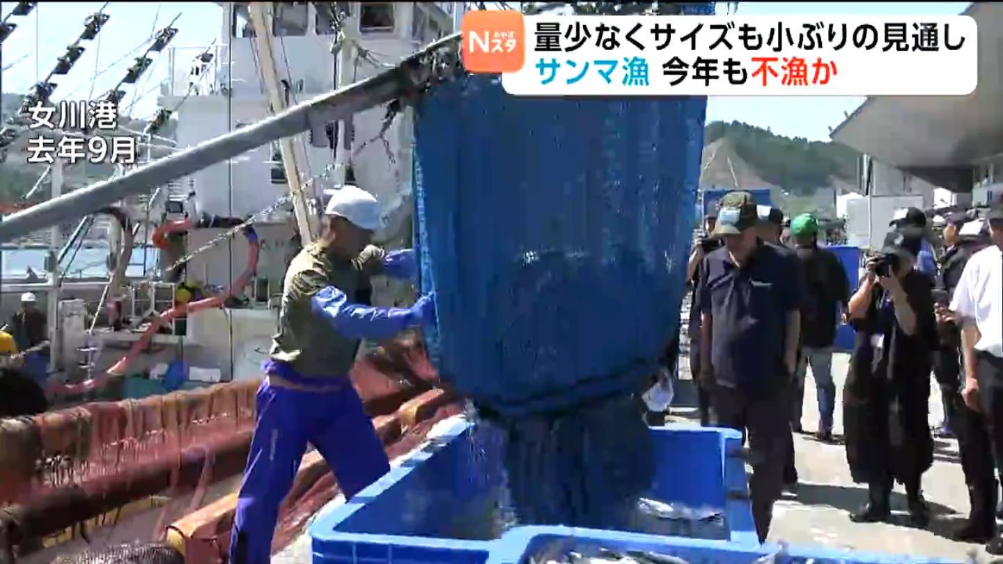 サンマの水揚げ作業の様子（女川港）