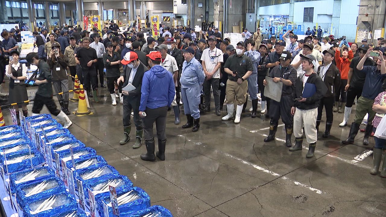 サンマの競りが行われる卸売市場の様子