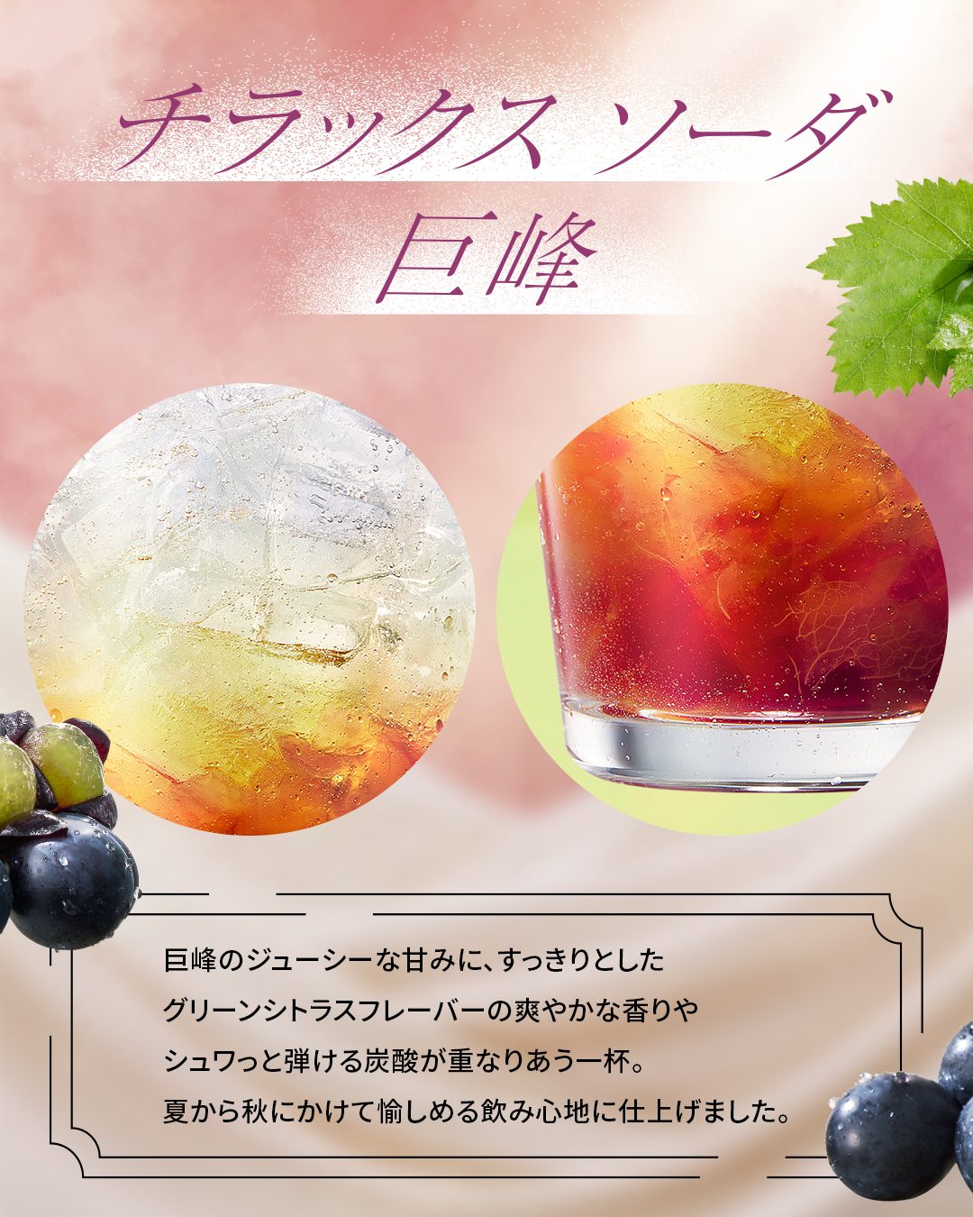 チラックス ソーダ 巨峰