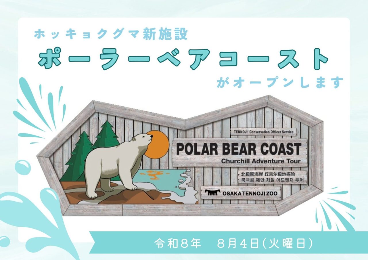 天王寺動物園ポーラーベアコースト｜見どころとアクセス