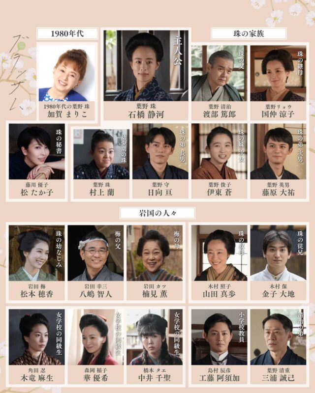 ブラッサム相関図 岩国編