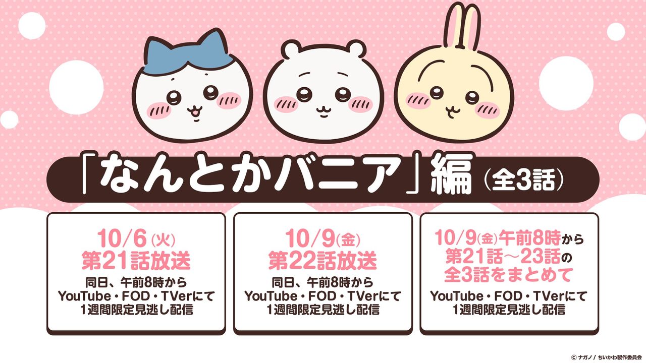 ちいかわアニメ なんとかバニア編全3話リバイバル放送スケジュール