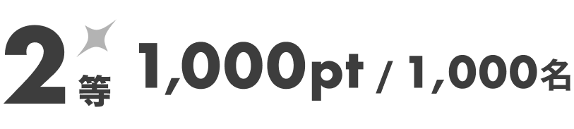 2等 1,000pt 1,000名