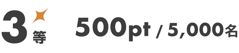 3等 500pt 5,000名
