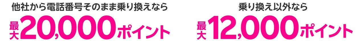 他社から番号そのまま乗り換えなら最大20,000ポイント、乗り換え以外なら最大12,000ポイントの比較