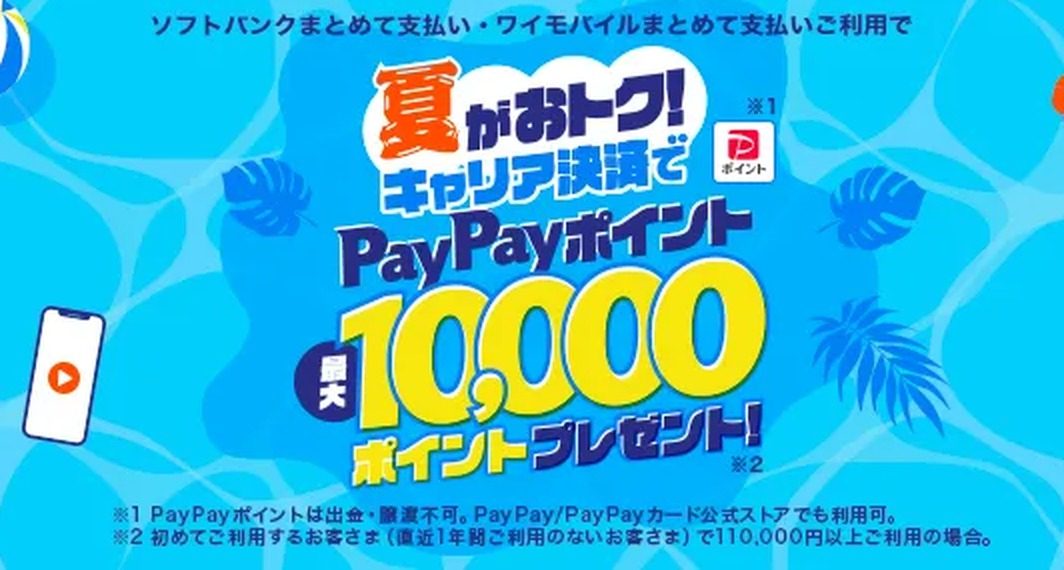 夏がおトク!キャリア決済でPayPayポイント最大10,000ポイントプレゼントの拡大表示