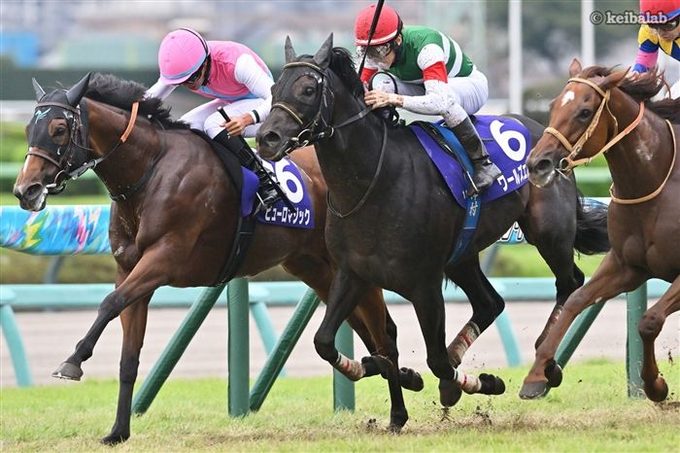 ゴール前で競り合う上位馬たちの写真