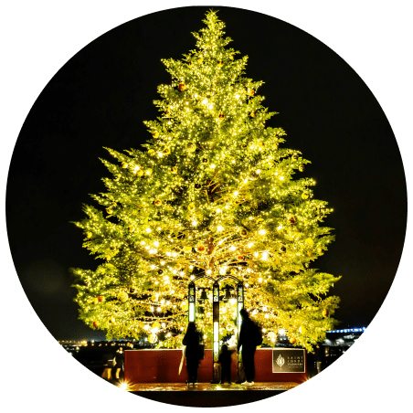 横浜赤レンガ倉庫クリスマスマーケット2026の高さ約11mの生木クリスマスツリー