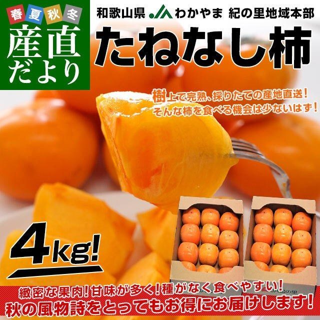 au PAY マーケット 産直だよりの旬の柿