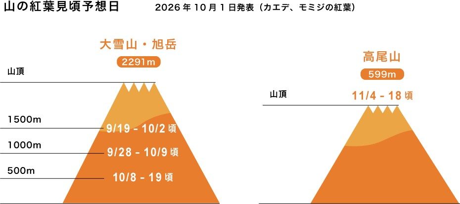 山の標高別の紅葉見頃予想日、大雪山・旭岳と高尾山の例