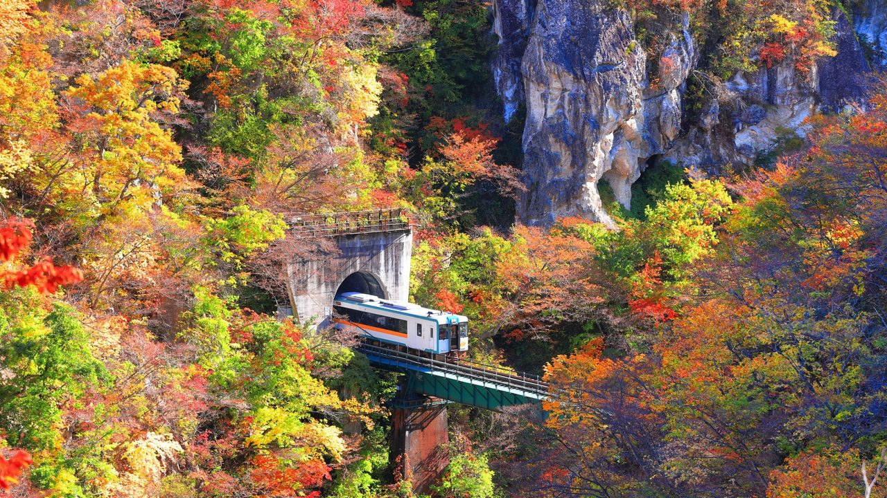 紅葉に染まる渓谷を走る列車(イメージ)