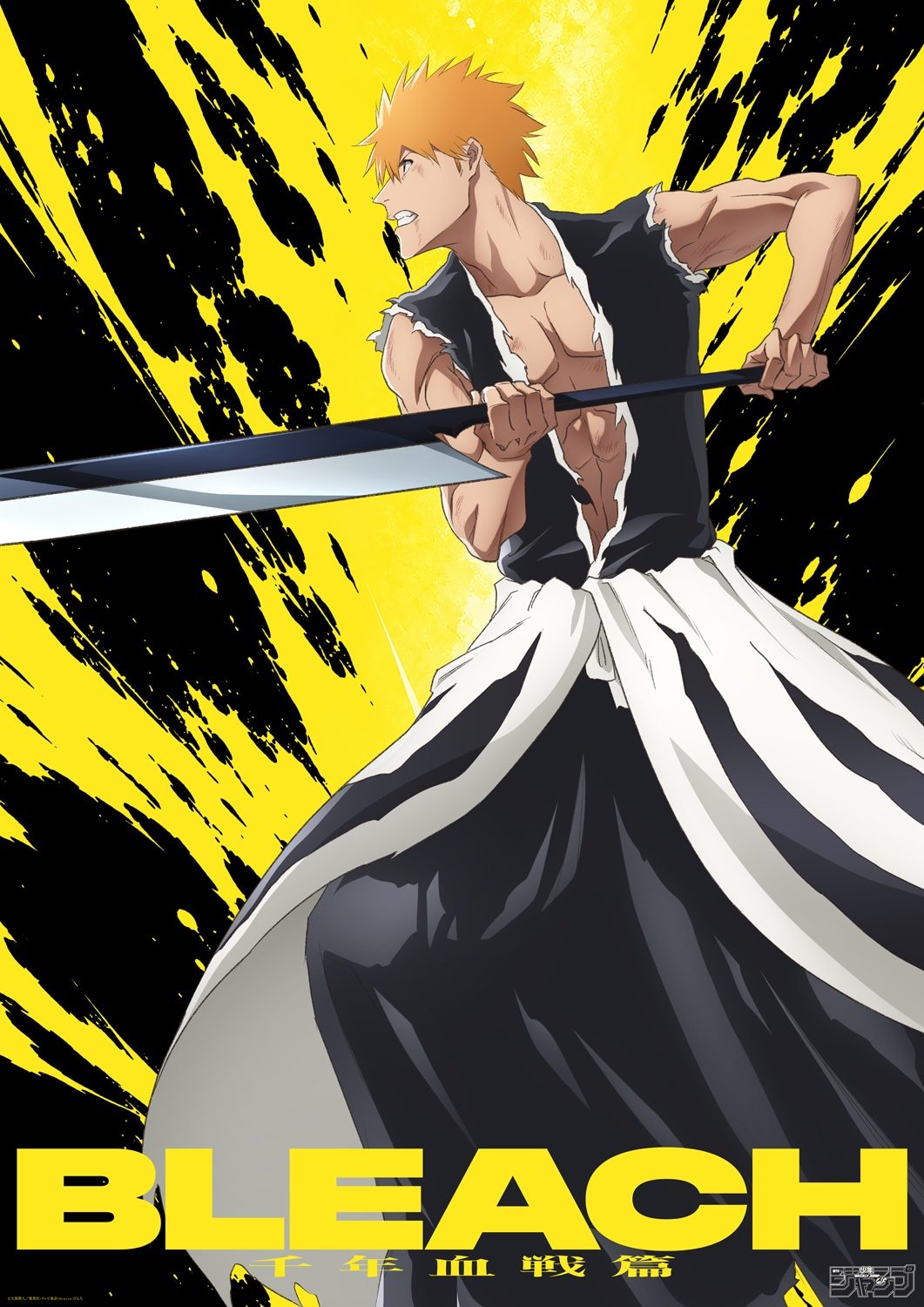 BLEACH 千年血戦篇 THE STORIES VISUAL 最終決戦 黒崎一護