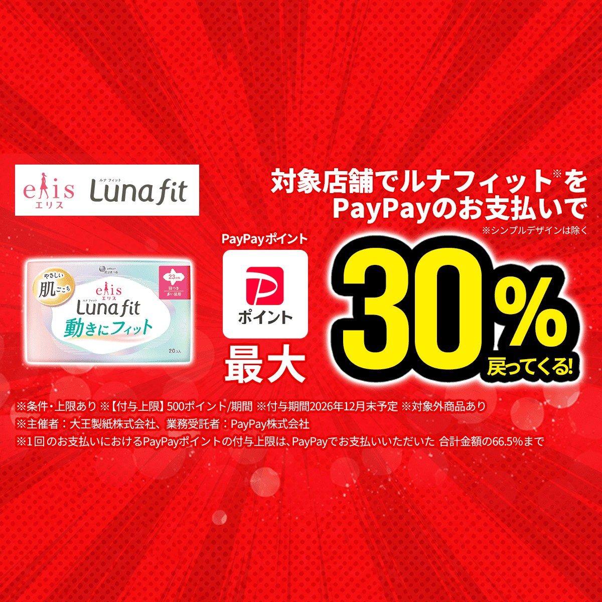 エリス ルナフィットPayPay最大30%還元キャンペーンのバナー(付与上限500ポイント)