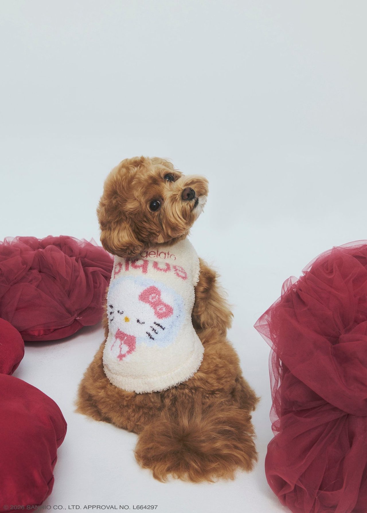 CAT＆DOG JQDプルオーバーを着た犬 ジェラート ピケ×サンリオ