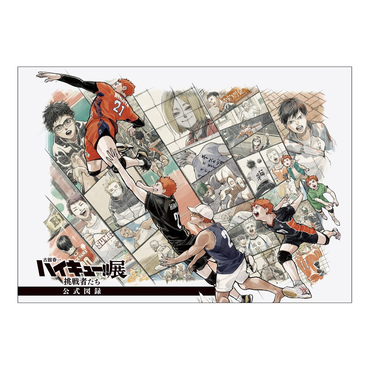 公式図録の表紙、キービジュアルと展覧会タイトルが入ったデザイン