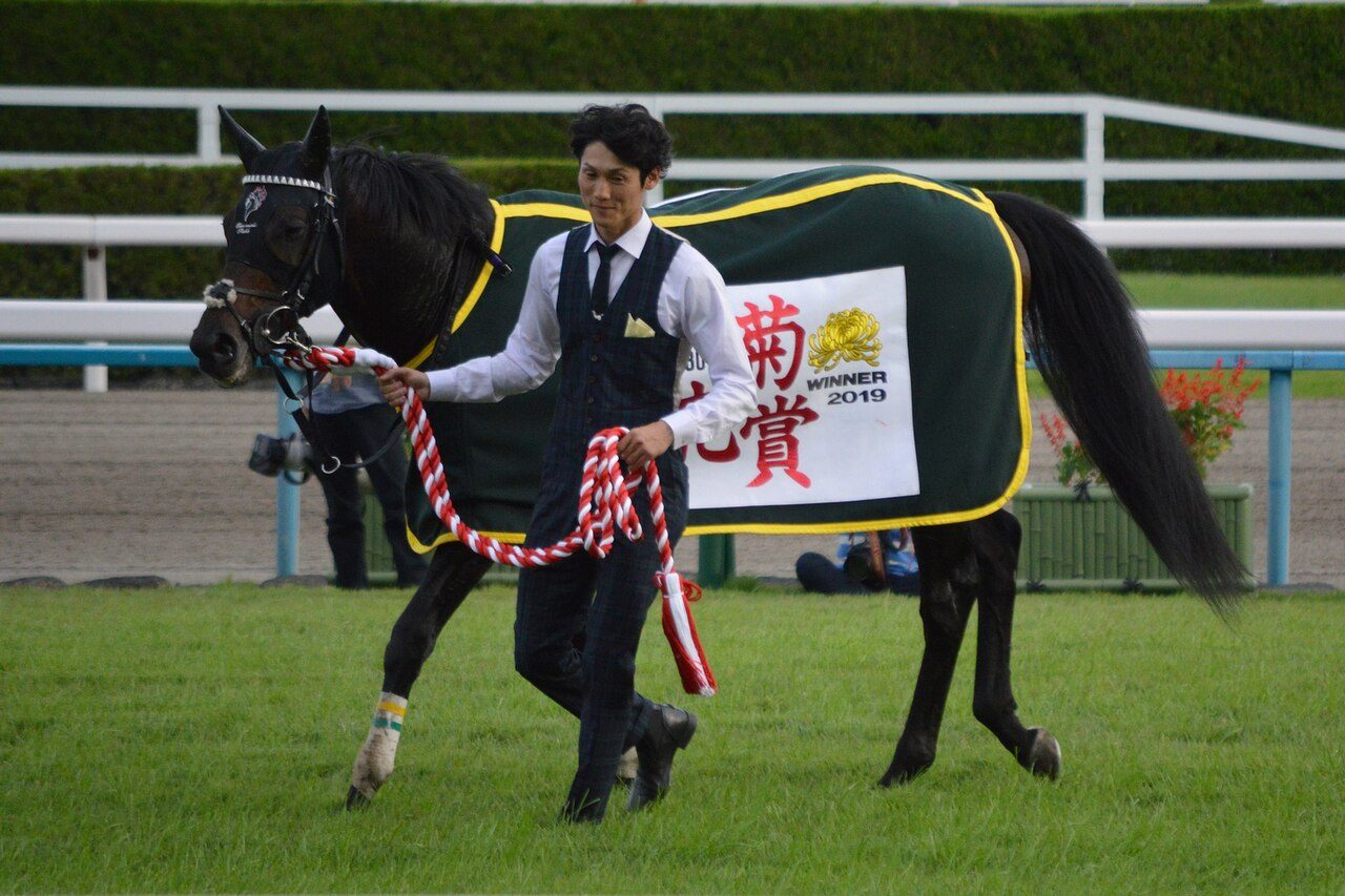 2019年菊花賞を制したワールドプレミアの引き馬、ロブチェンの父