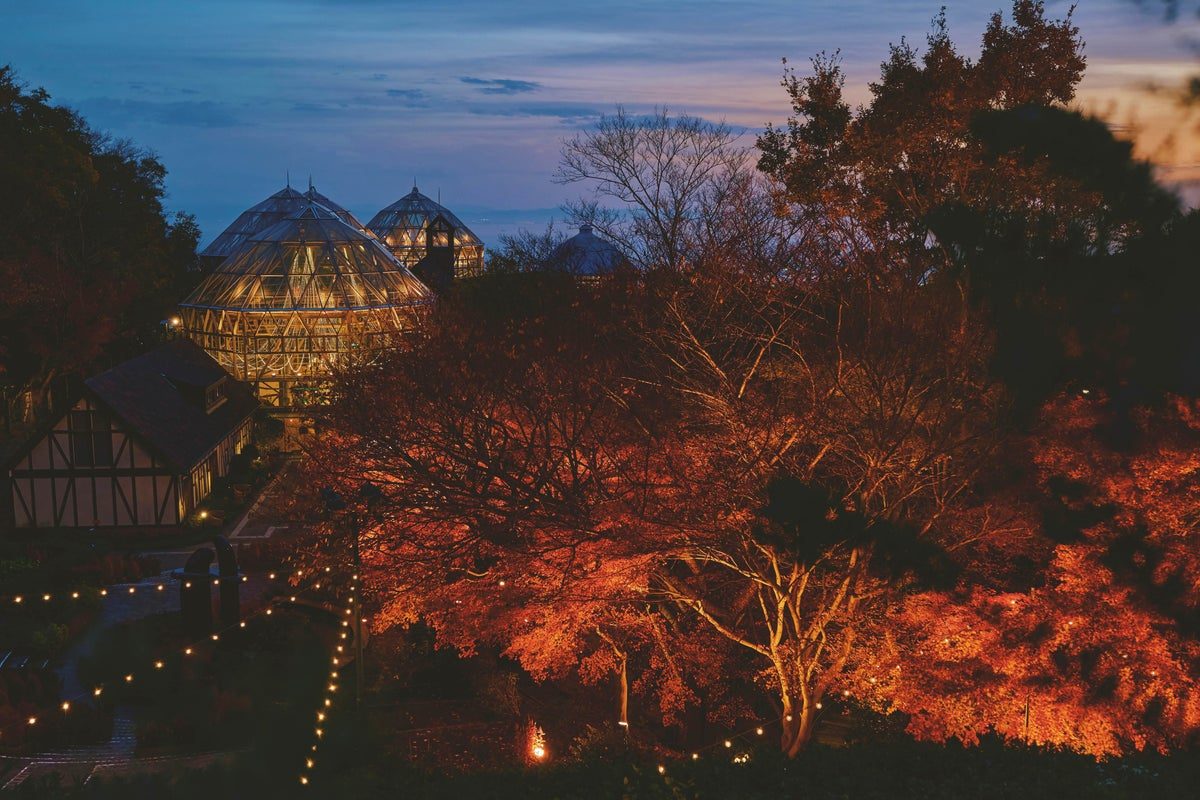 神戸布引ハーブ園の紅葉ライトアップ 夕暮れの園内