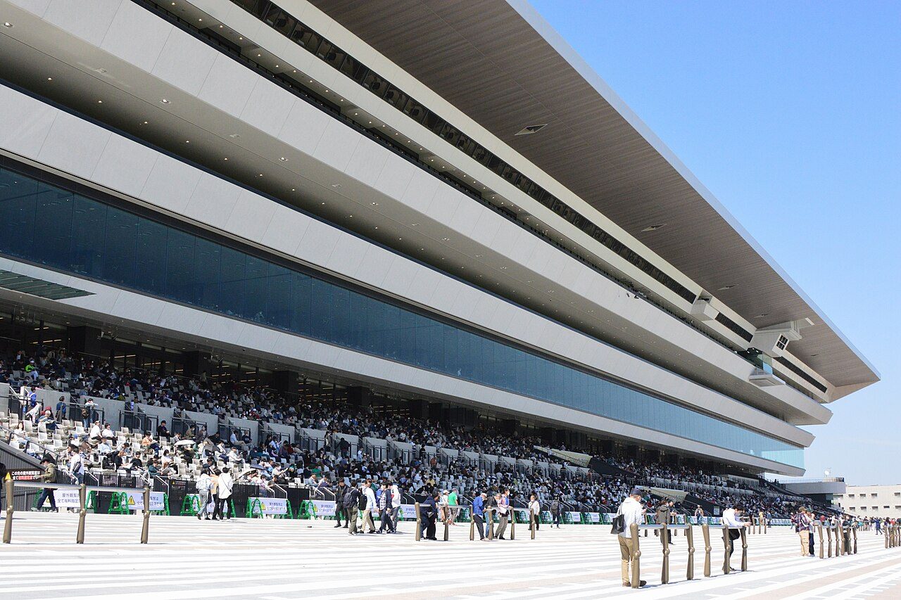 京都競馬場のスタンド全景、菊花賞が行われる競馬場