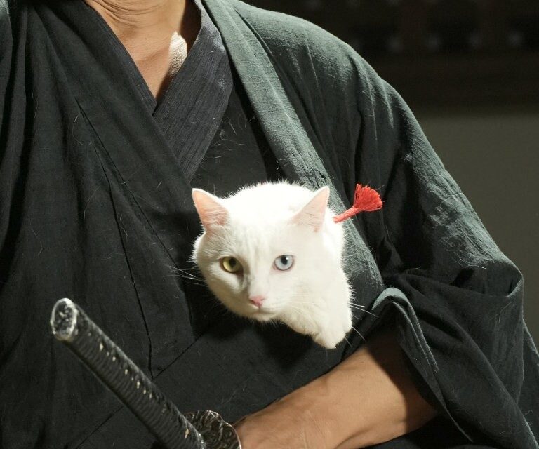 猫侍 -ビギニング- 場面写真 久太郎の懐に白い毛並みの玉之丞