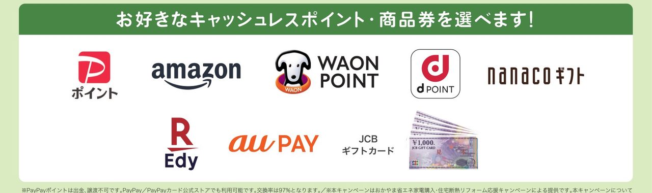おかやま省エネ家電キャンペーン ポイントの交換先 PayPay WAON dポイント など