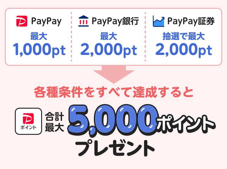PayPayまとめてスタート 九州12〜17歳は合計最大5,000ポイントの内訳