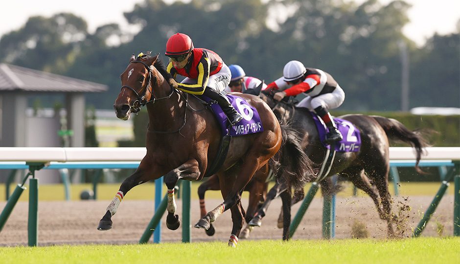 2023年の秋華賞 リバティアイランドが牝馬三冠を達成したレースの写真
