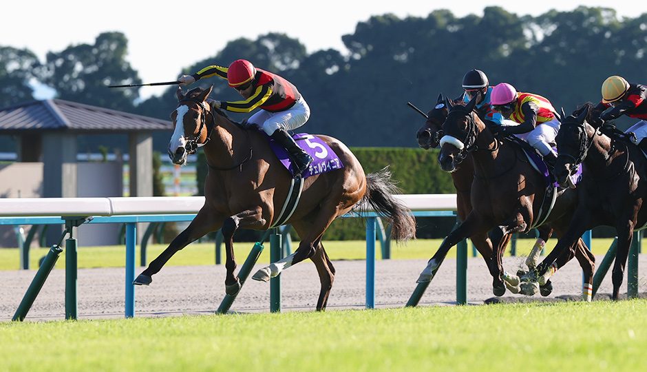 2024年の秋華賞 京都競馬場のレース写真 チェルヴィニアが勝った一戦