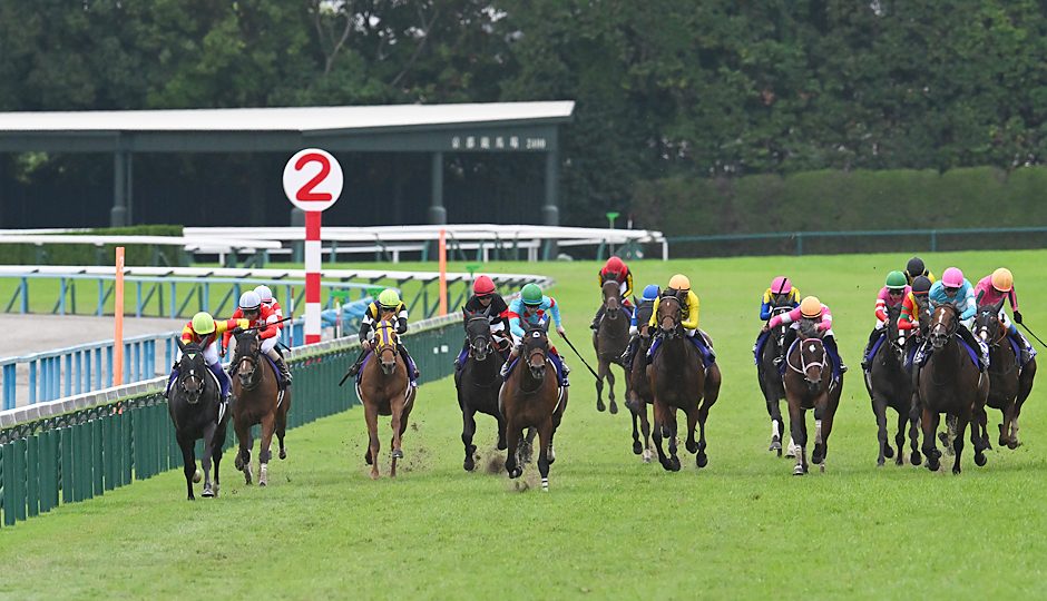 2025年の秋華賞 京都競馬場で最後の直線に向かう牝馬たちのレース写真