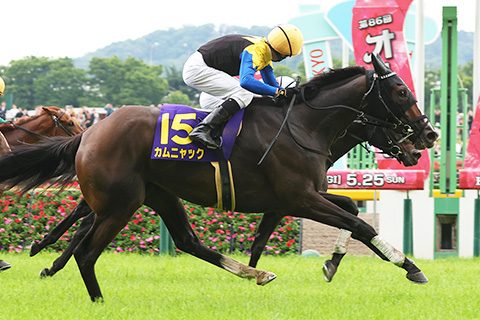 JRA公式 秋華賞への道 ローズSなどステップレースの競走馬の写真
