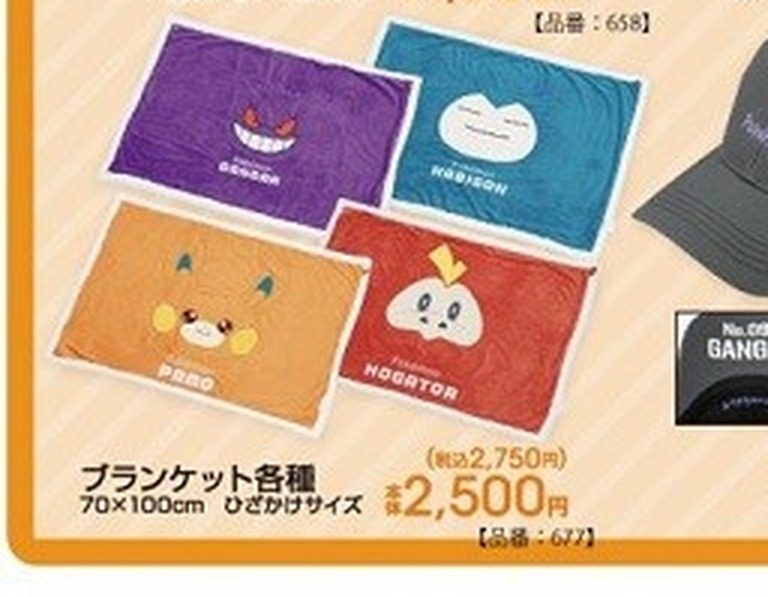 ブランケット 各種 ポケットモンスター ひざかけサイズ