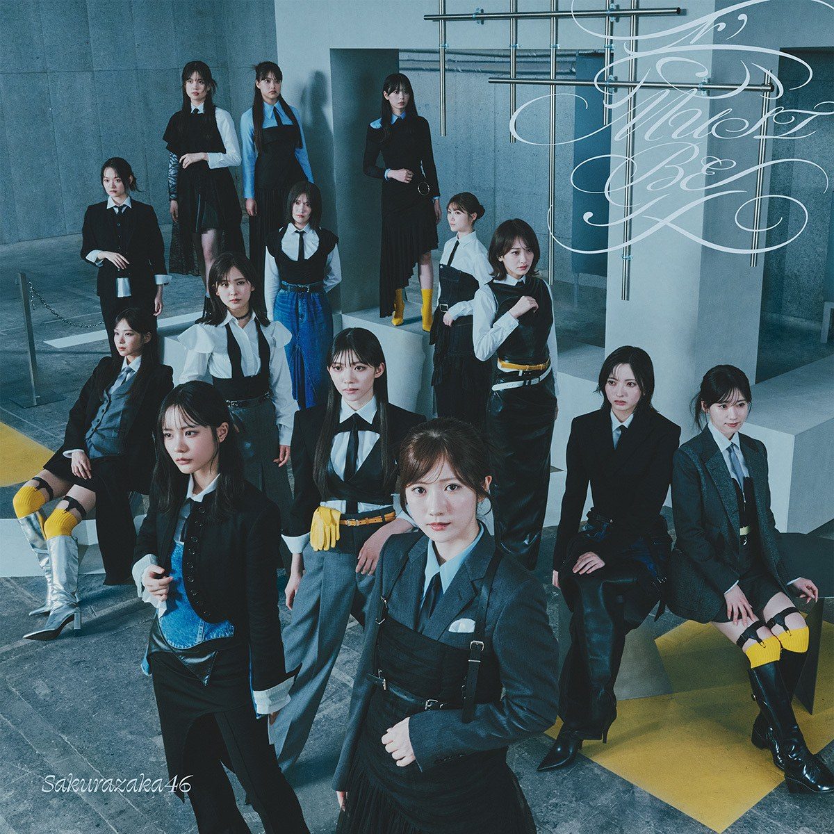 櫻坂46 愛MUST BE 初回仕様限定盤 TYPE-D ジャケット BACKSメンバー
