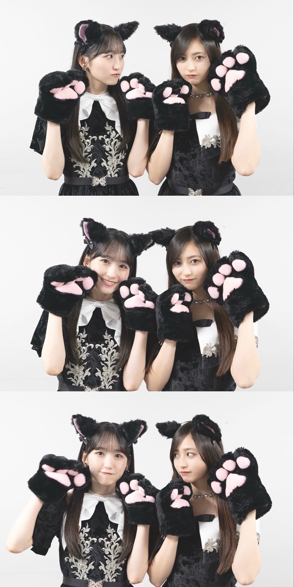 猫耳と肉球グローブ姿の一ノ瀬美空さんと井上和さん セブンイレブン乃木坂46にゃいとハロウィン