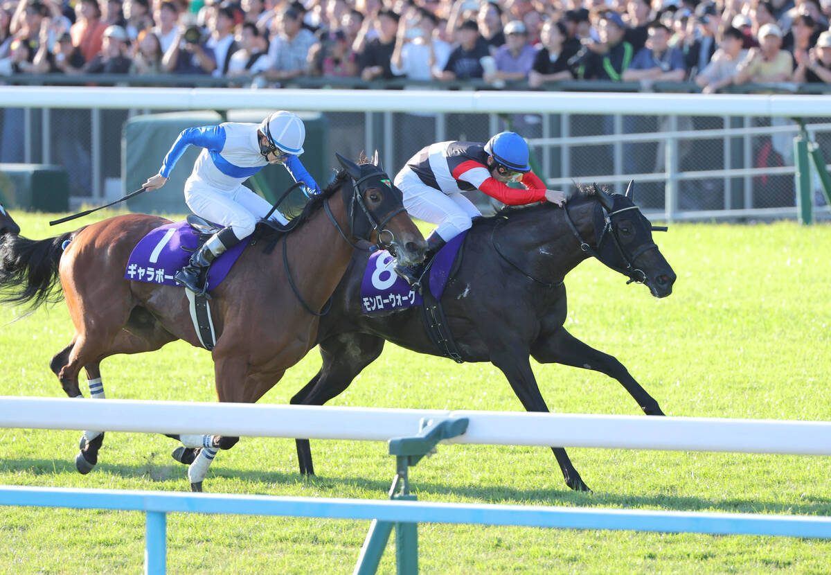 秋華賞2026 直線で競り合うモンローウォークとギャラボーグ